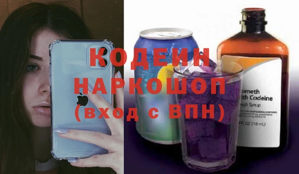 шишки Осинники