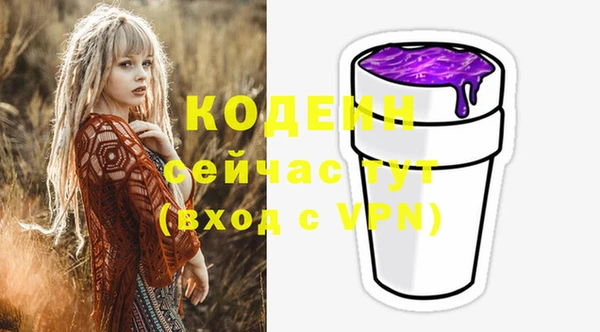 шишки Осинники
